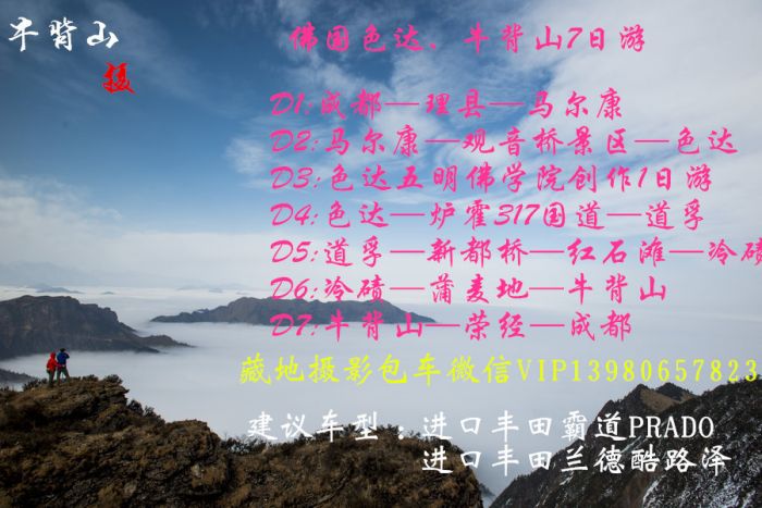 广告1.jpg