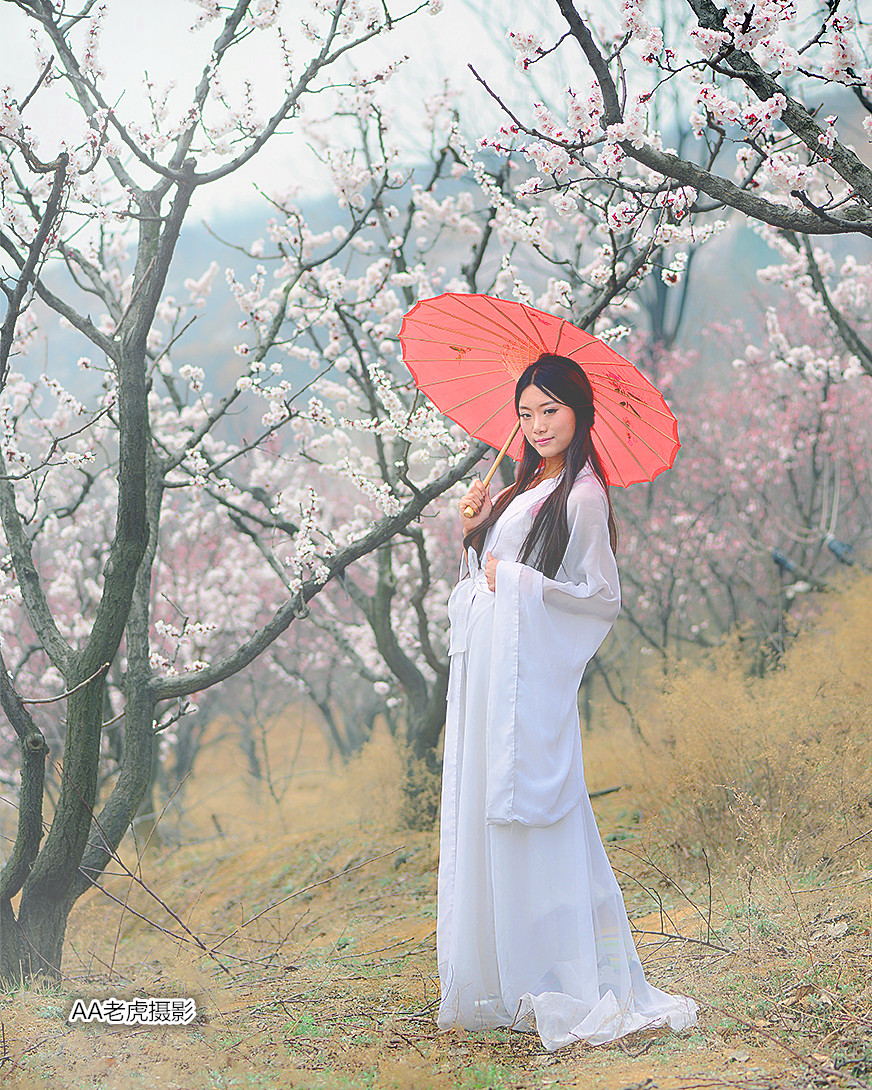 DSC_3156_副本.jpg