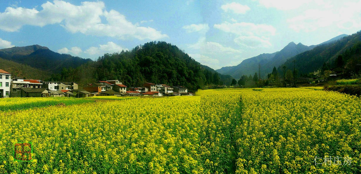 SDC13277_副本_副本.JPG