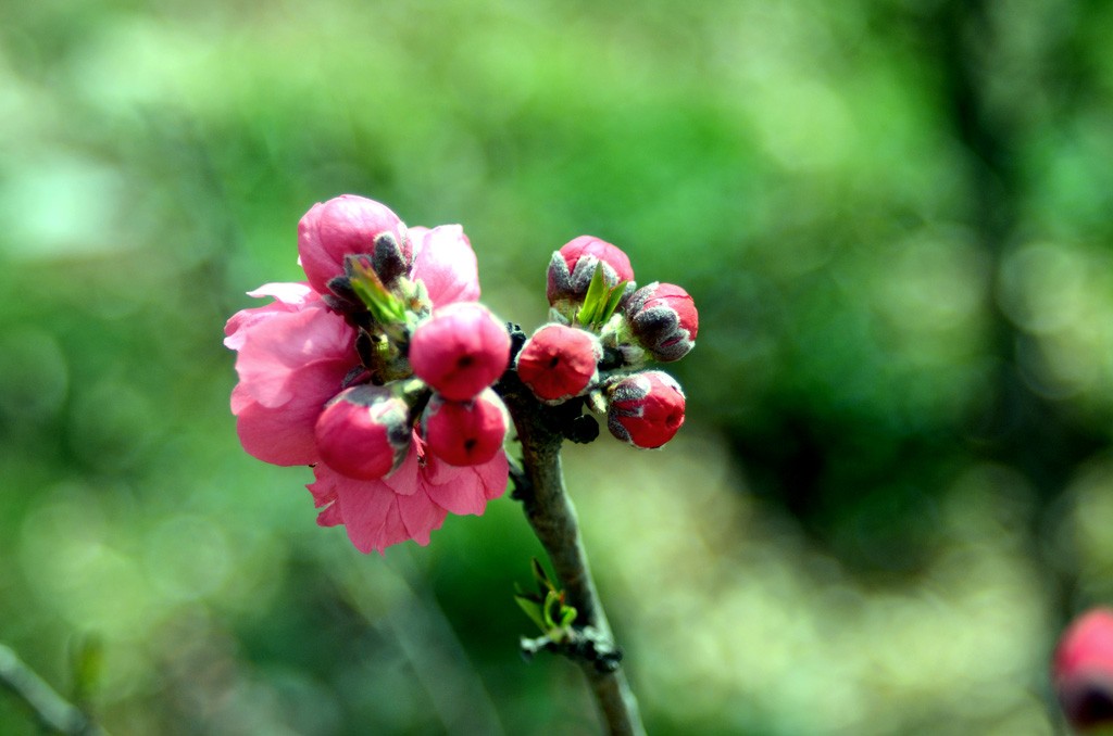 DSC_9178副本.jpg