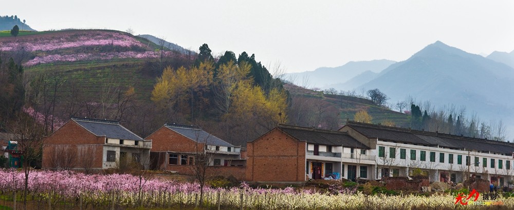 在那桃花盛开的地方 (43).jpg