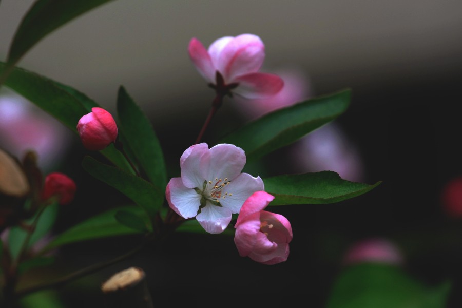 G_0229.jpg