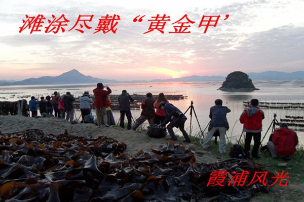 黄金甲_副本.jpg