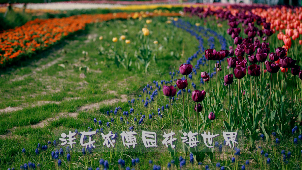 IMG_2613_副本0.jpg