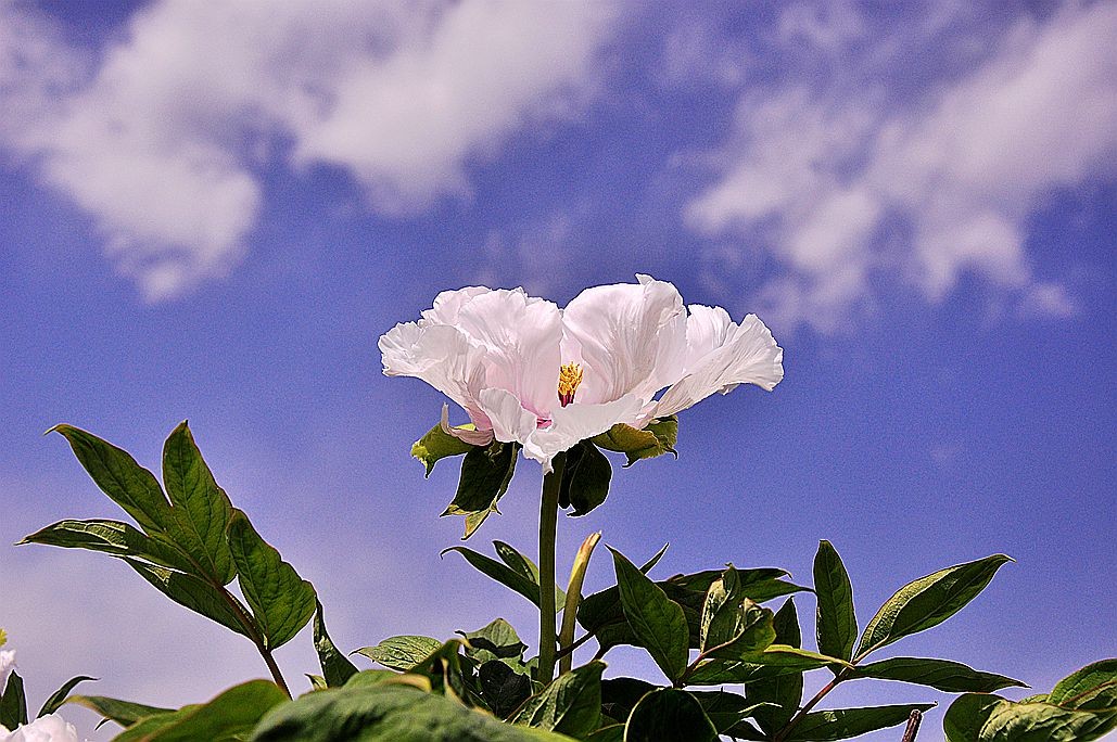 DSC_0615.jpg