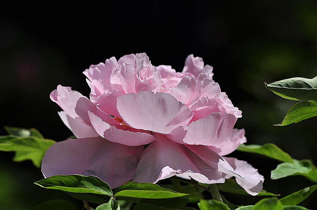 DSC_0873.jpg