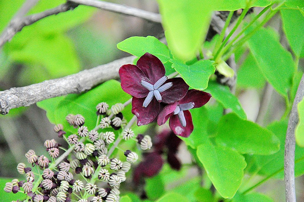 DSC_0119.jpg