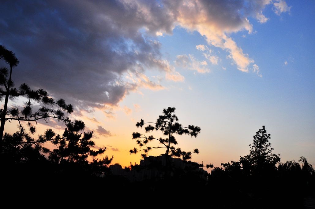 DSC_0402.jpg