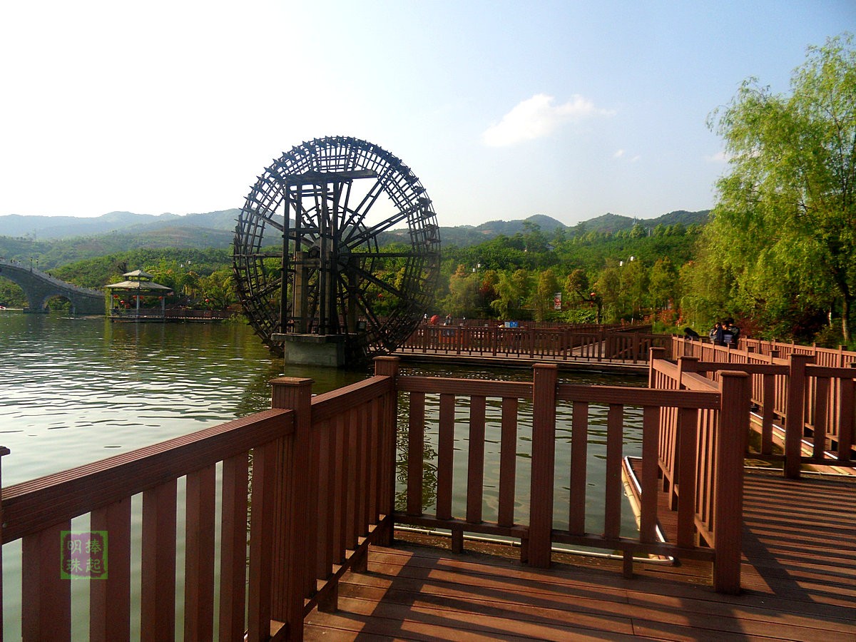 SDC15316_副本.JPG