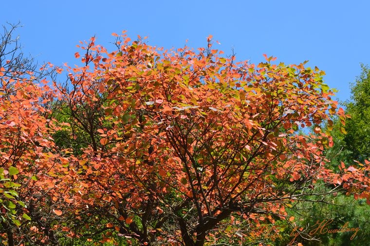 DSC_0005.jpg