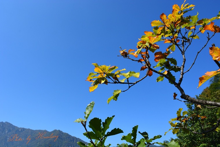 DSC_0013.jpg