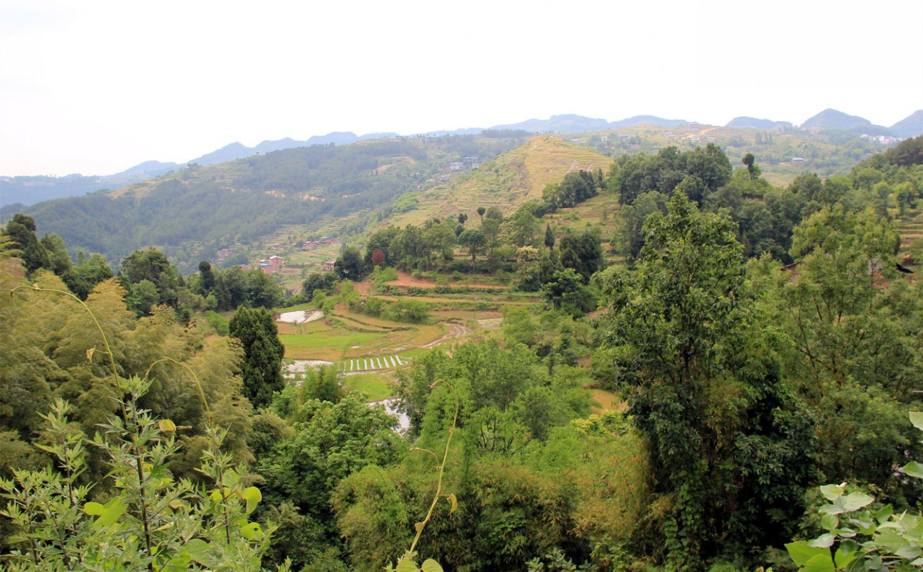 IMG_9521_副本.jpg