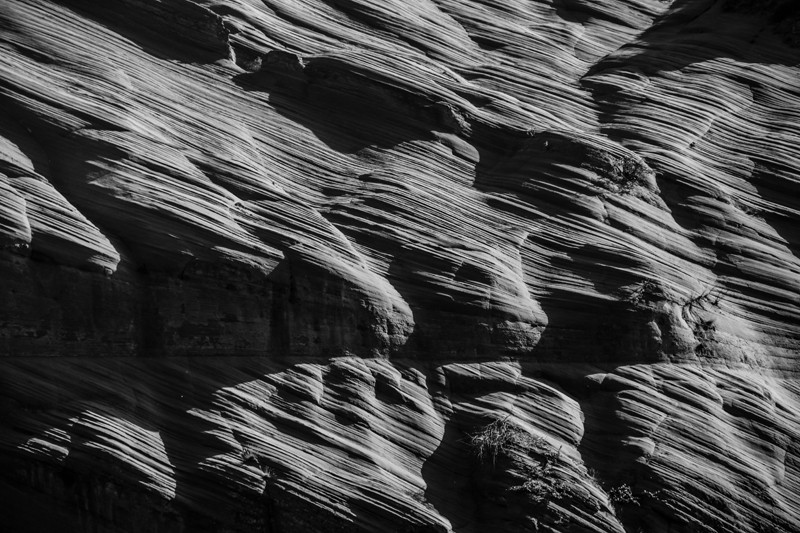 _MG_9874.jpg