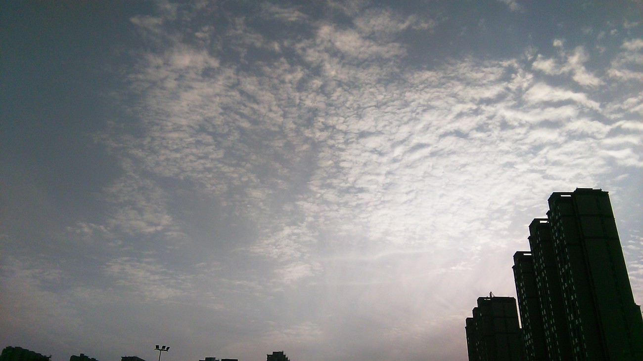 IMG_20150515_185656.jpg