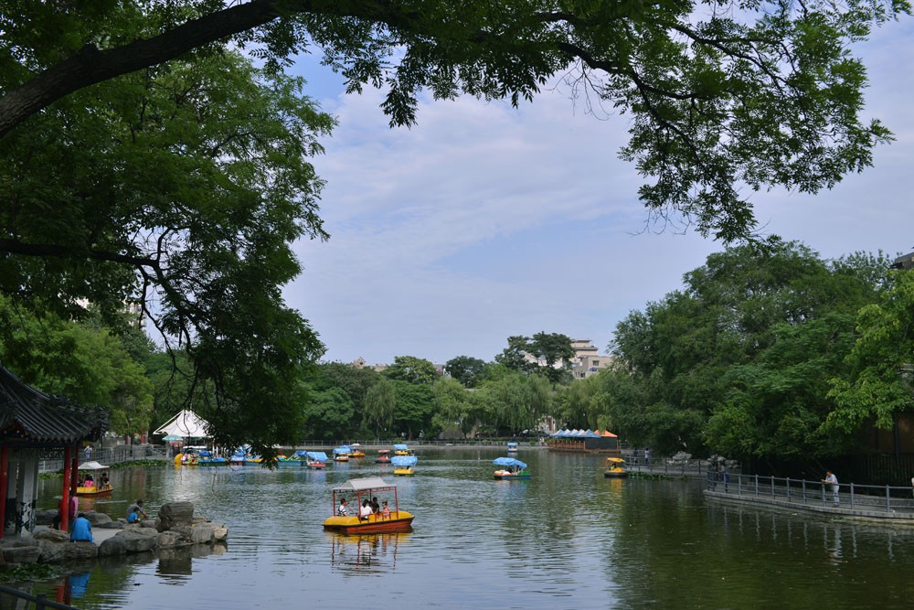 莲湖公园 (3).jpg
