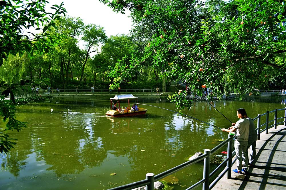 莲湖公园 (21).jpg