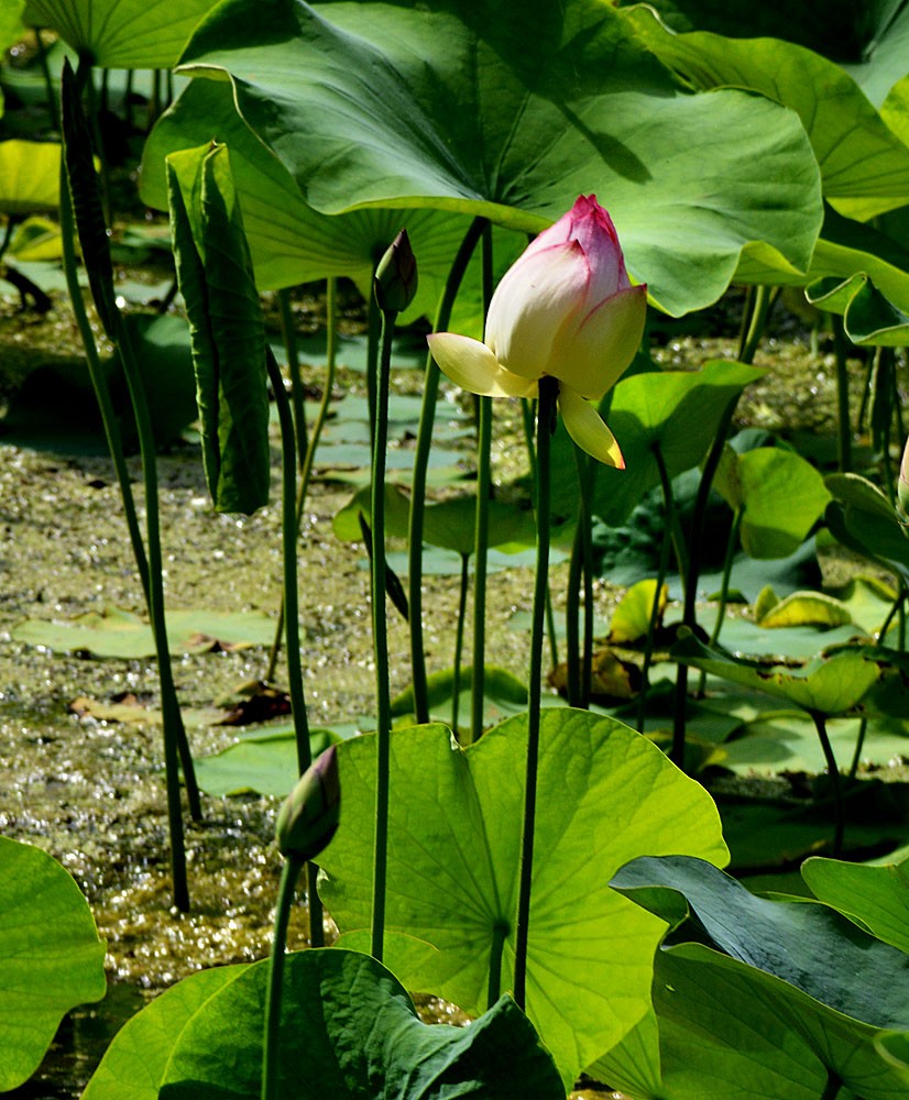 尖尖角 (28).jpg