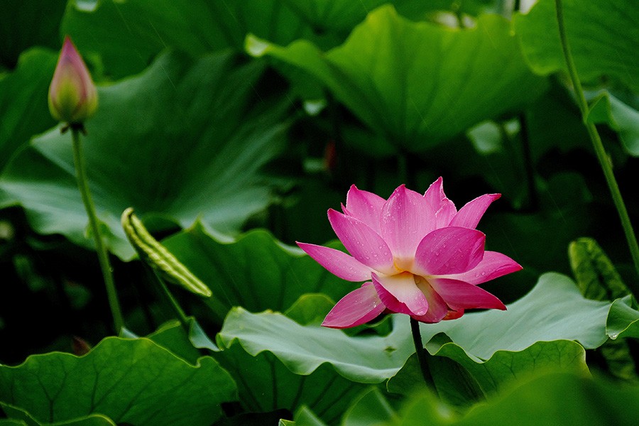 L9180669_副本压.jpg