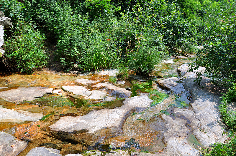 DSC_0026_副本.jpg