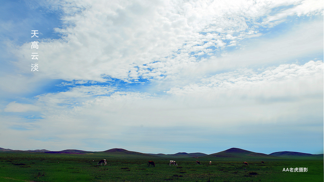 DSC_5648_副本.jpg