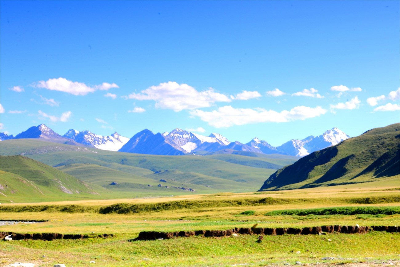 巴音布鲁克大草原
