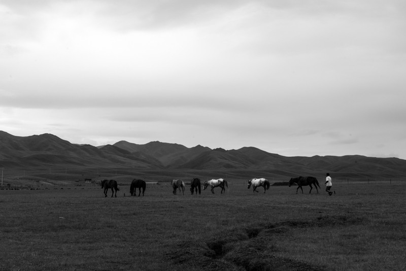 ZH0_8489-1-19.jpg