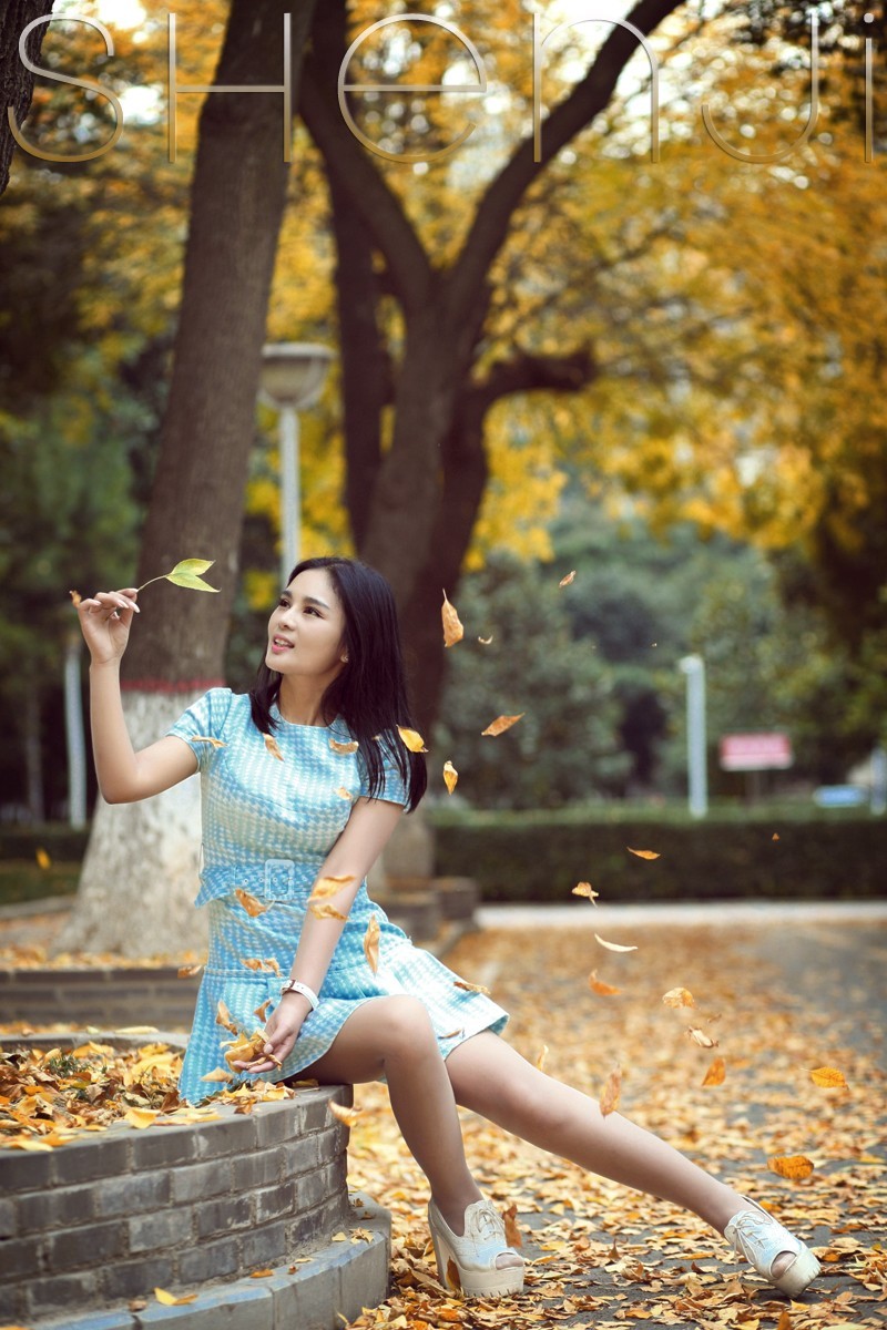 秋叶黄·校园风 (01).jpg