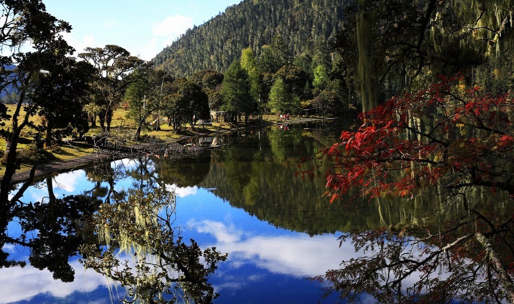 《初秋的伍须》