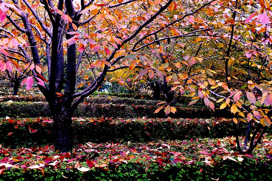 L9250671_副本 压.jpg