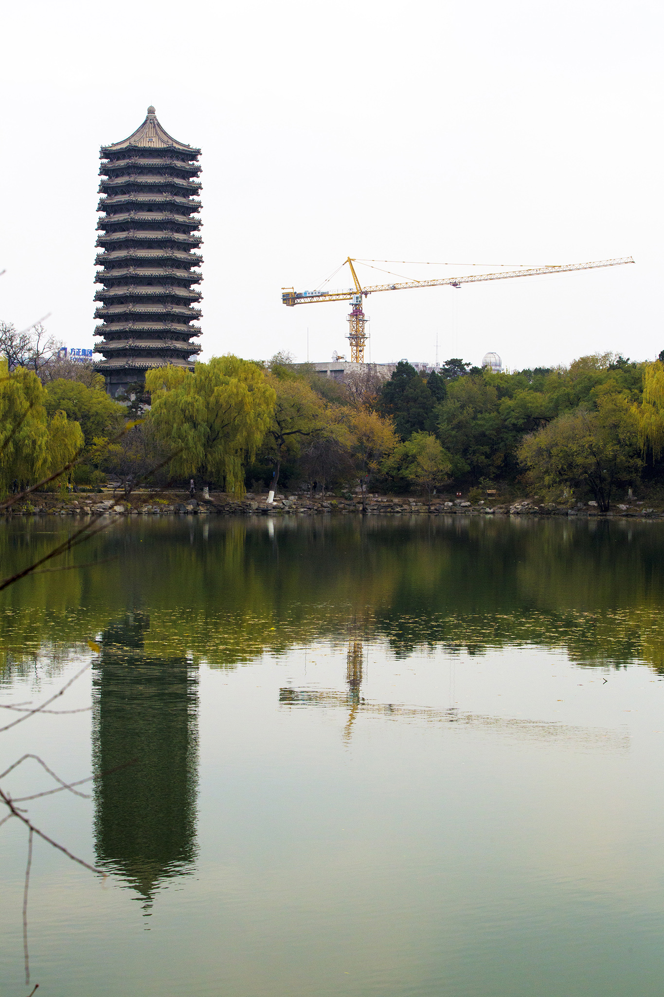 AR4A8442 拷贝.jpg