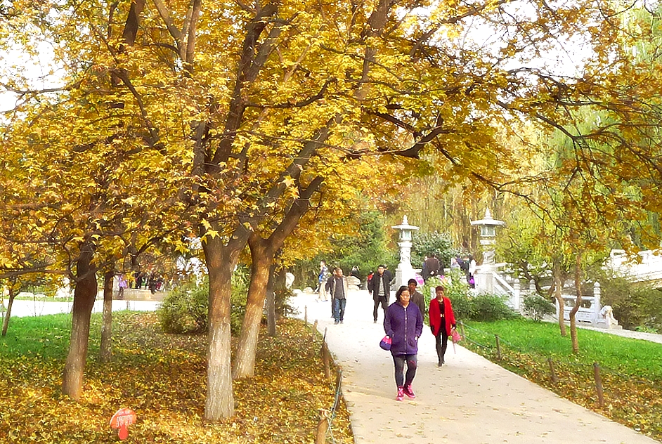 P1120913.jpg