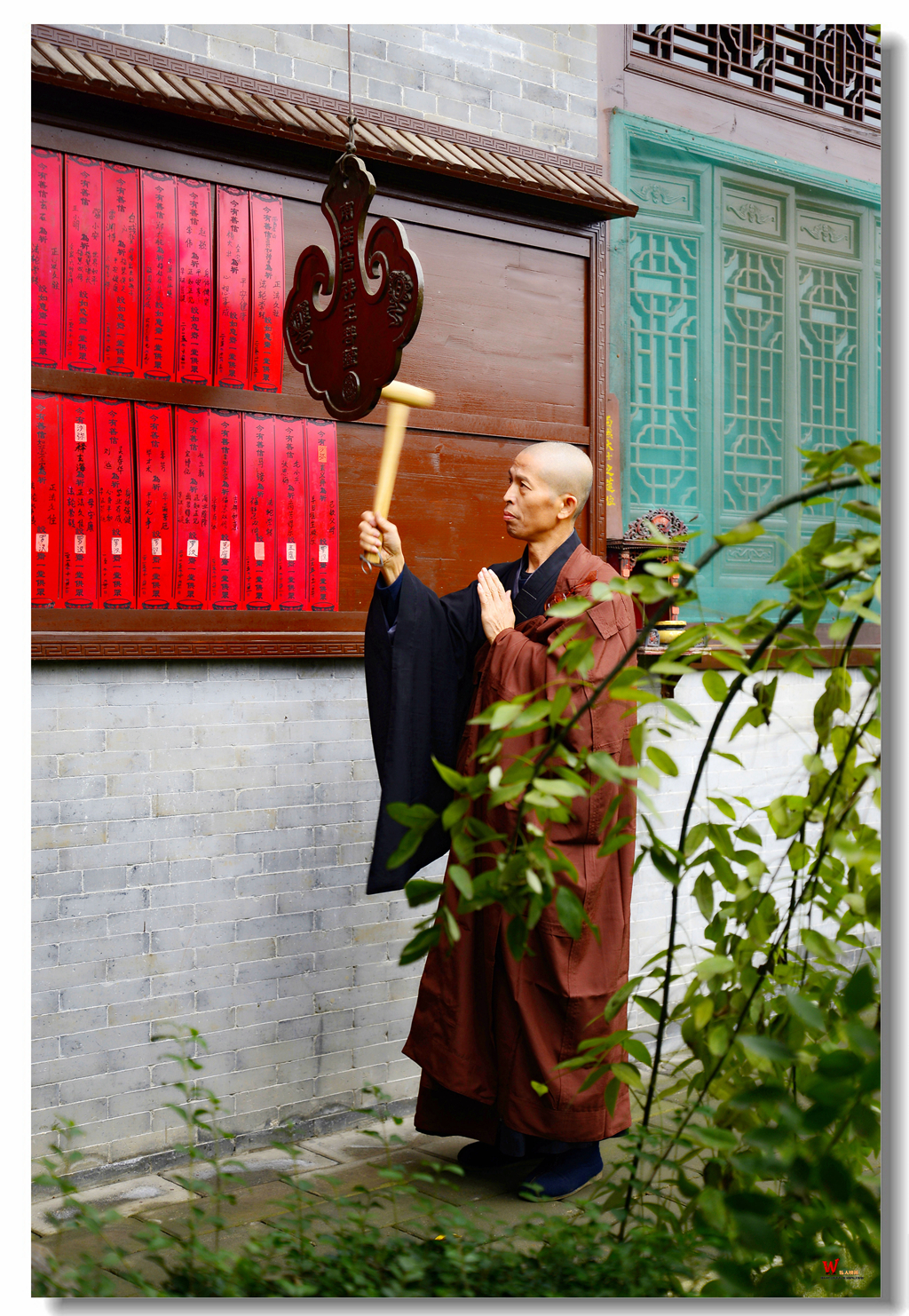 _DSC1234_副本_副本.jpg