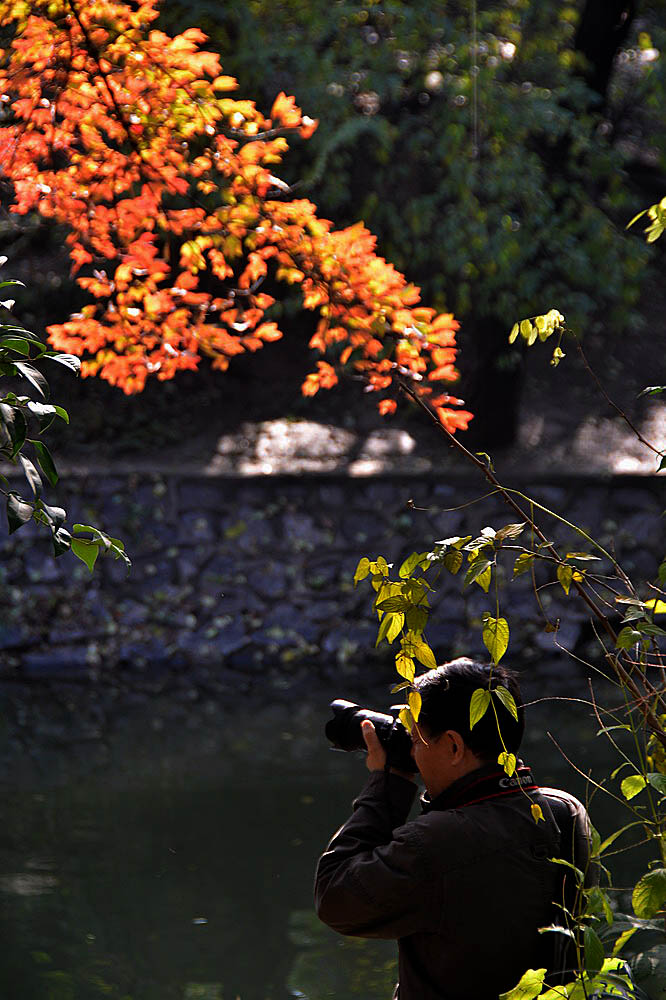 公园秋色 (7).JPG