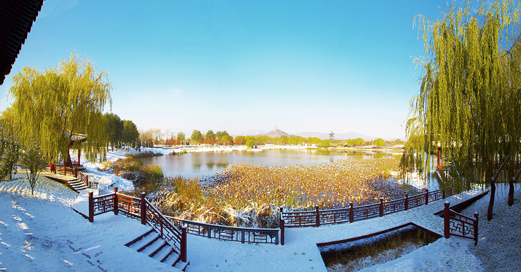 接片练习01 拷贝.jpg