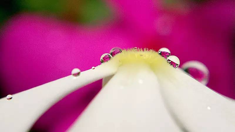f35fffc5b06c13891efa0271f067a443.jpg