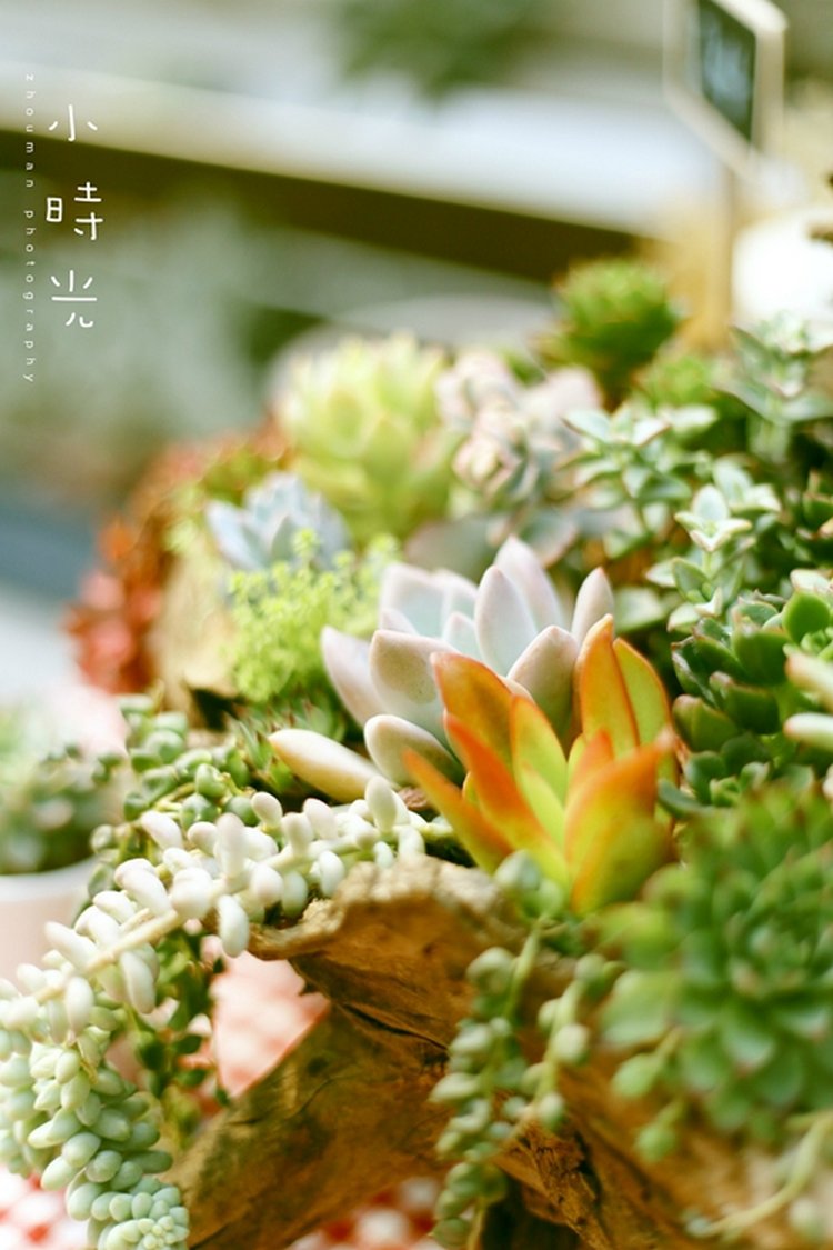 9a8f345c30271c8a671e4000d8fbc3ed.jpg 9a8f345c30271c8a671e4000d8fbc3ed.jpg