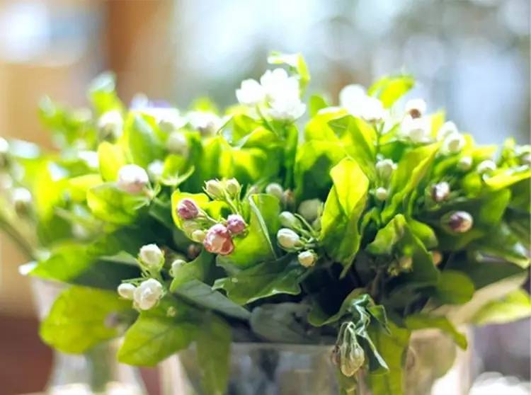 af1bbe5314dbbab5b1a6a191508e28e2.jpg af1bbe5314dbbab5b1a6a191508e28e2.jpg