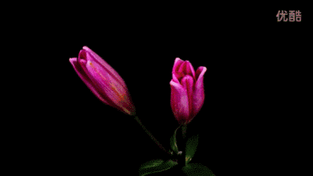 f3a8209e475083d595e3c162238f248a.gif