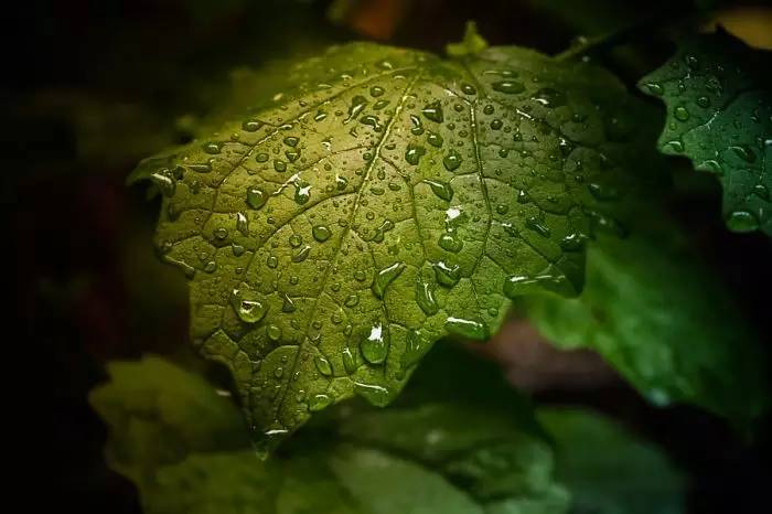 aaee7c22974776ea64a56c37b0a1c6b0.jpg