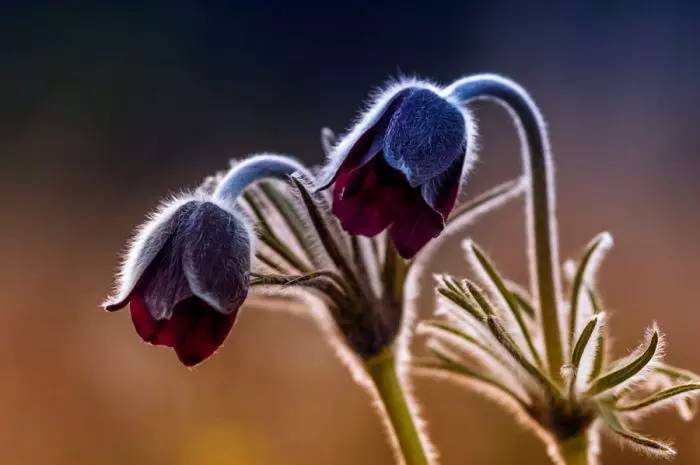 b79f2ab78ed2cd9787f1493550847947.jpg