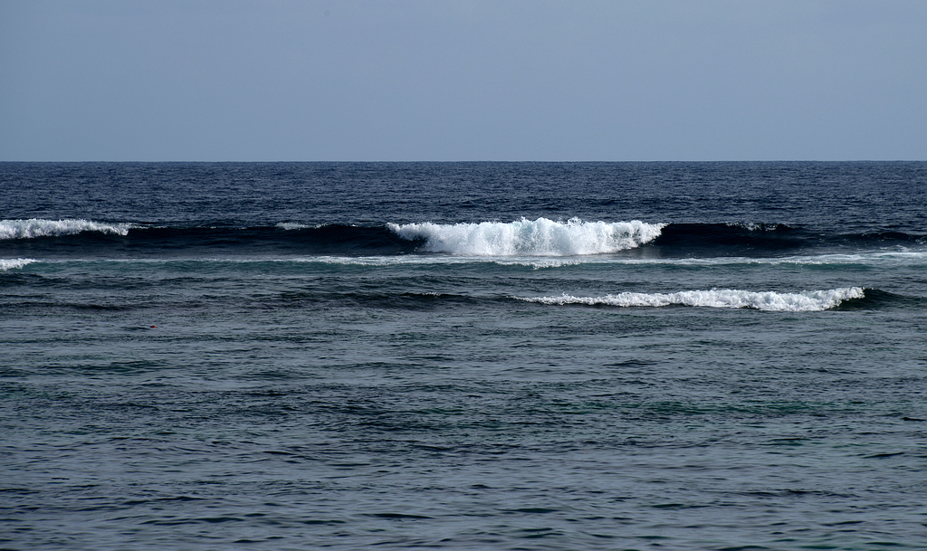 DSC_3690.JPG