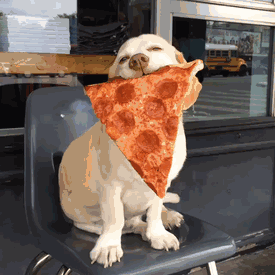 b525126f5961b97233f7b5555a69b93d.gif