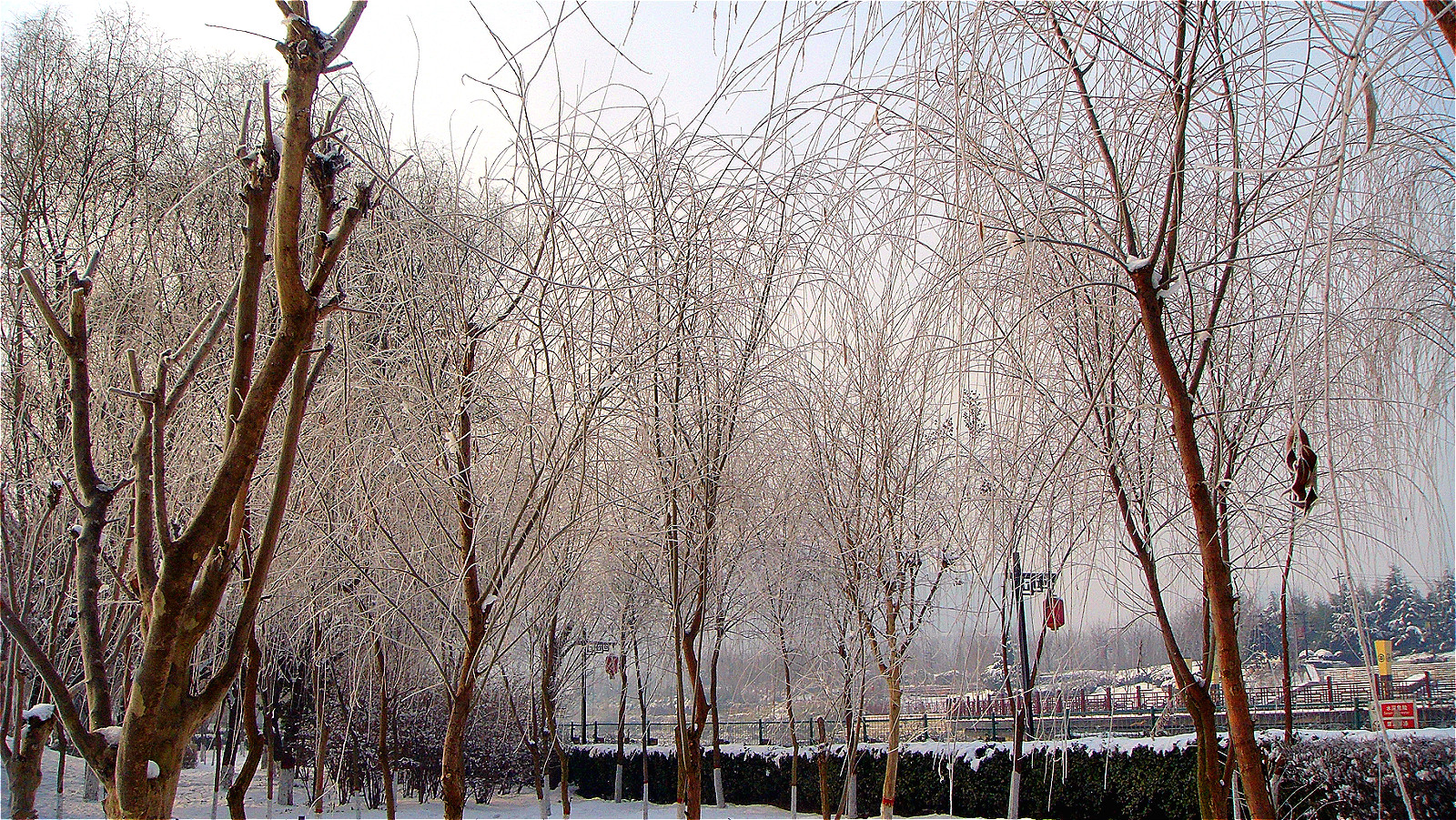 DSC05261_meitu_28.jpg