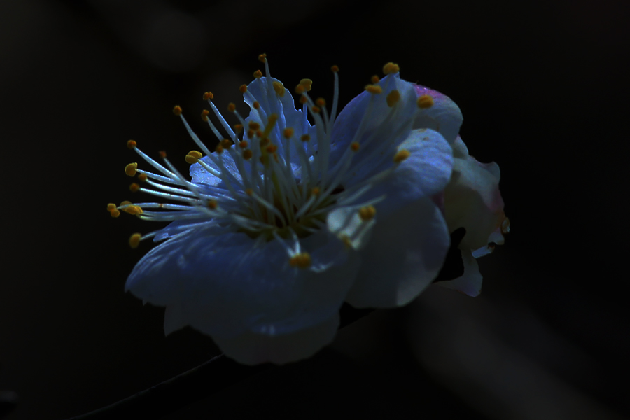 4956.jpg
