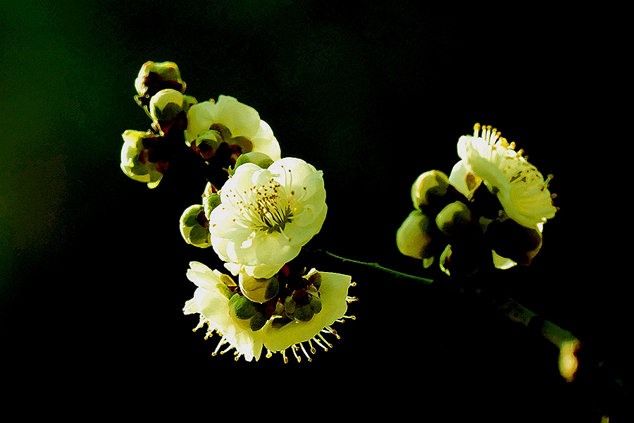 L9290702_副本.jpg