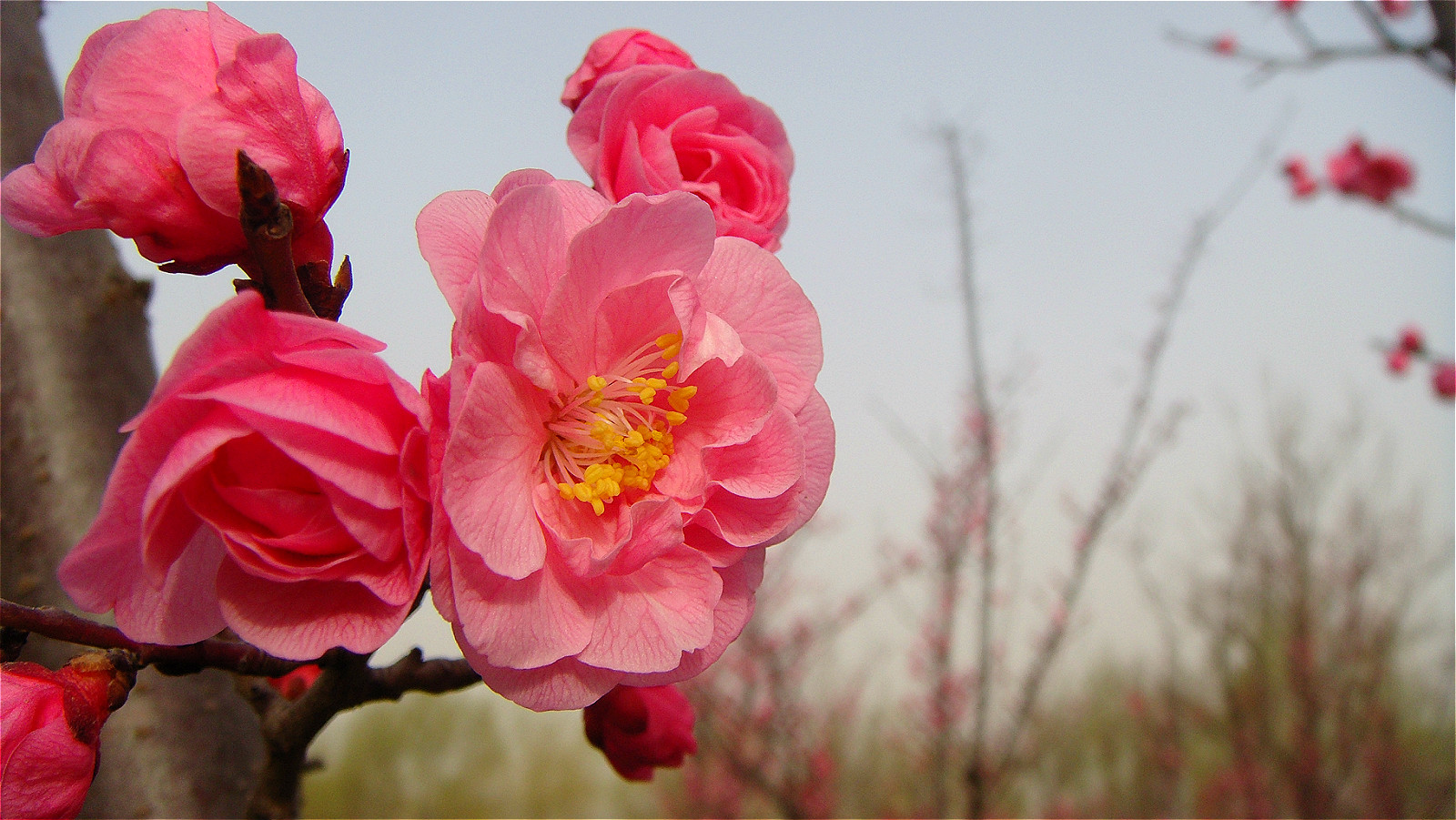 DSC06323_meitu_22.jpg