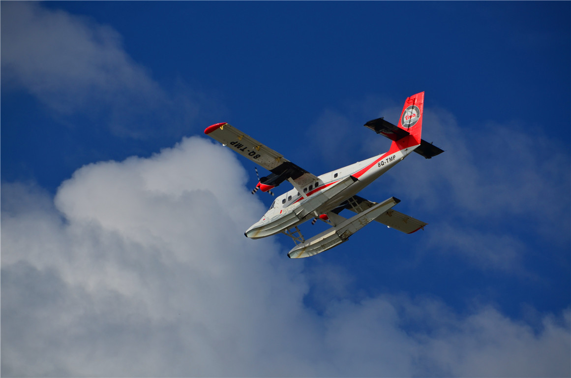 DSC_1593.jpg