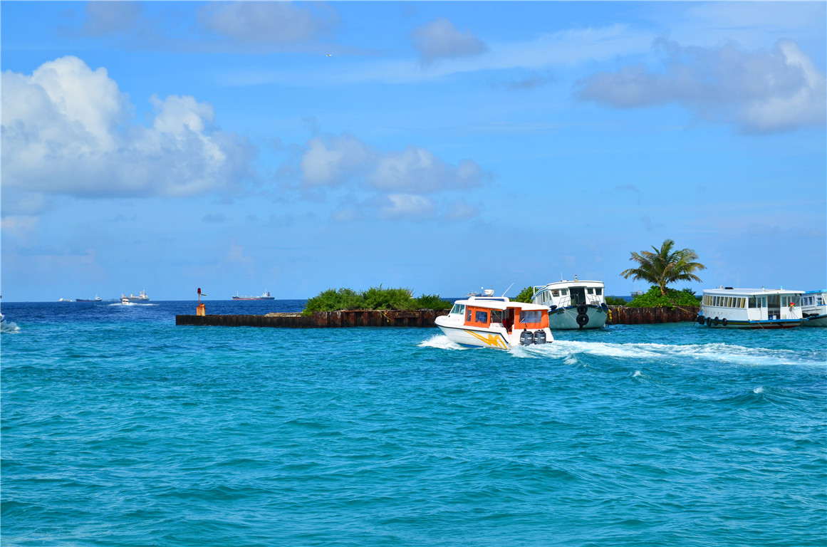 DSC_1615.jpg