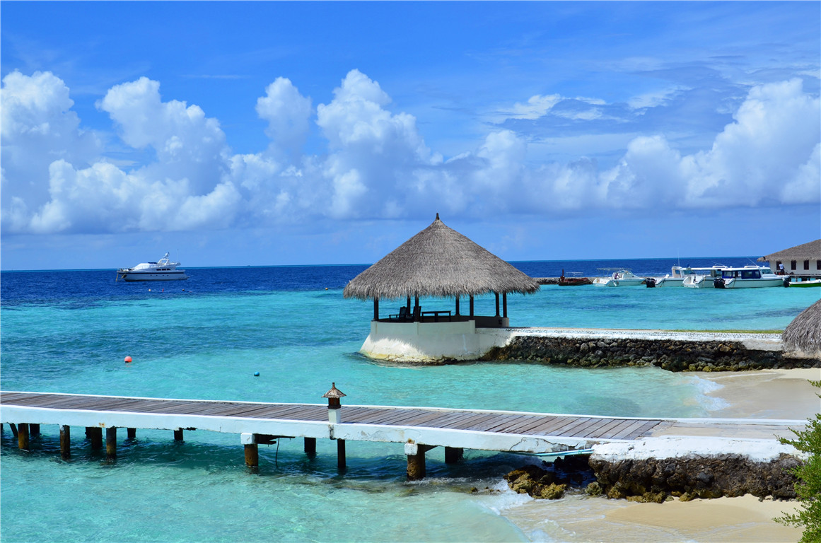 DSC_1638.jpg