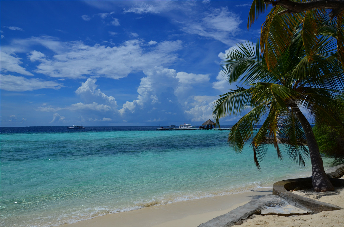 DSC_1652.jpg